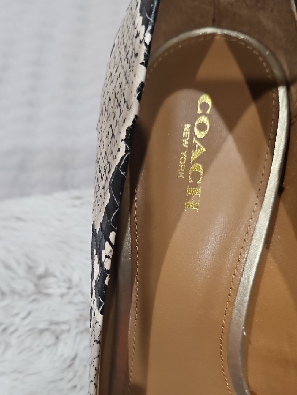 Coach Snake-Print Pointed Toe Pumps in Black and Cream with Peach Accents - Picture 2 of 6